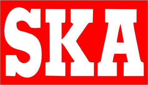 SKA Group