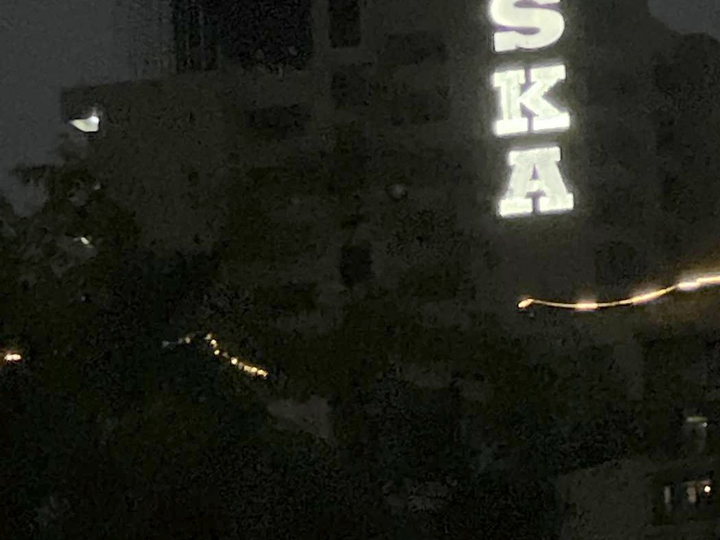 Stacked rooftop letters reading as a single vertical block from the road, lit evenly face-on so the name holds its shape against a dark sky.